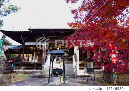 犬山寂光院　紅葉と本堂 135469804