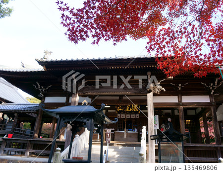 犬山寂光院　本堂と紅葉 135469806