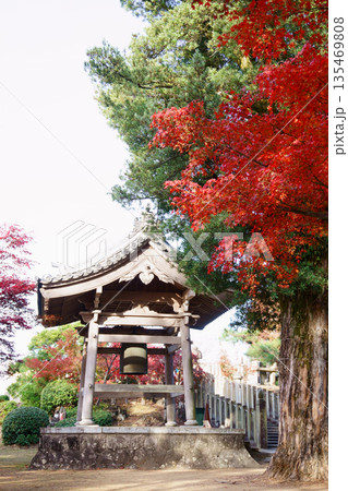 継鹿尾観音寂光院 紅葉と鐘楼堂 継鹿尾観音寂光院 紅葉と鐘楼堂 135469808