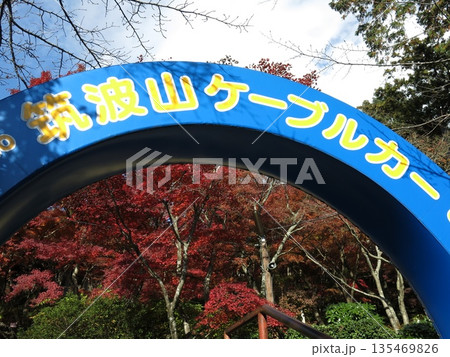 筑波山ケーブルカー宮脇駅前のアーチとカエデの紅葉 筑波山ケーブルカー宮脇駅前のアーチとカエデの紅葉 135469826