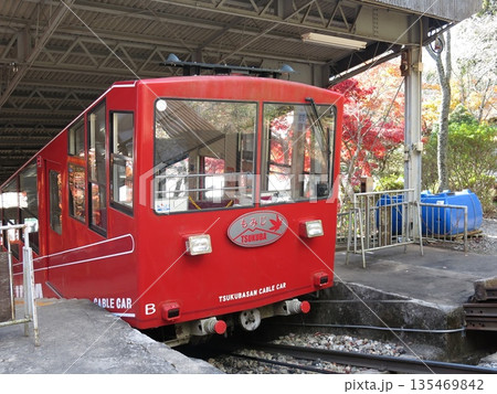 紅葉に彩られた筑波山ケーブルカー宮脇駅の「もみじ号」 紅葉に彩られた筑波山ケーブルカー宮脇駅の「もみじ号」 135469842