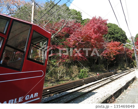 筑波山ケーブルカー宮脇駅を発車した「もみじ号」とケーブルカー沿線の紅葉 筑波山ケーブルカー宮脇駅を発車した「もみじ号」とケーブルカー沿線の紅葉 135469849