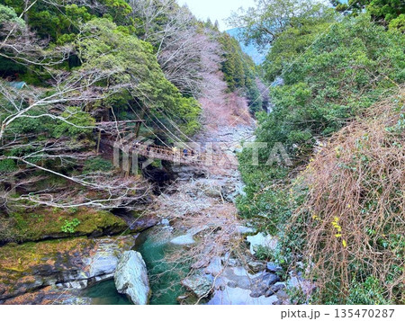 祖谷のかずら橋 俯瞰で見る イメージ 祖谷のかずら橋 俯瞰で見る イメージ 135470287