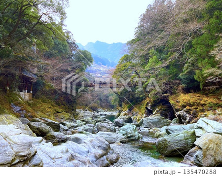 祖谷のかずら橋 下から見えるイメージ 祖谷のかずら橋 下から見えるイメージ 135470288