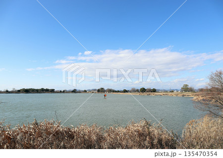 加古大池 冬 風景（兵庫県 稲美町） 135470354