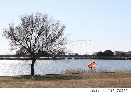 加古大池 冬 風景（兵庫県 稲美町） 135470355