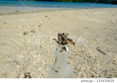 海岸に漂着した貝がついたビン 135470429