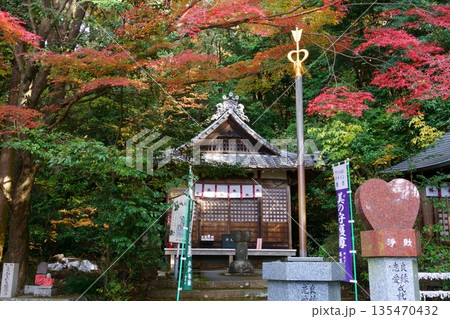 継鹿尾観音寂光院 紅葉と馬鳴堂と愛の錫杖 継鹿尾観音寂光院 紅葉と馬鳴堂と愛の錫杖 135470432