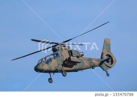 築城基地航空祭2025 135470786