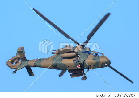 築城基地航空祭2025 築城基地航空祭2025 135470807