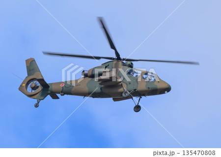 築城基地航空祭2025 135470808