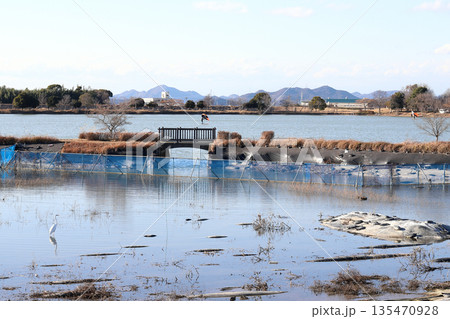 加古大池 水生植物園 風景（兵庫県 稲美町） 135470928