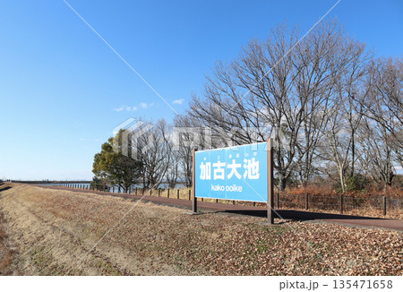 加古大池 裏入り口 冬(兵庫県 稲美町) 加古大池 裏入り口 冬(兵庫県 稲美町) 135471658
