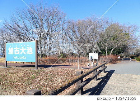 加古大池 裏入り口 冬(兵庫県 稲美町) 加古大池 裏入り口 冬(兵庫県 稲美町) 135471659