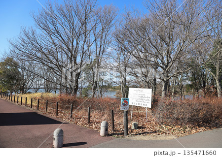 加古大池 裏入り口 冬（兵庫県 稲美町） 135471660