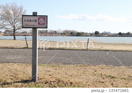 加古大池 冬 風景（兵庫県 稲美町） 135471665