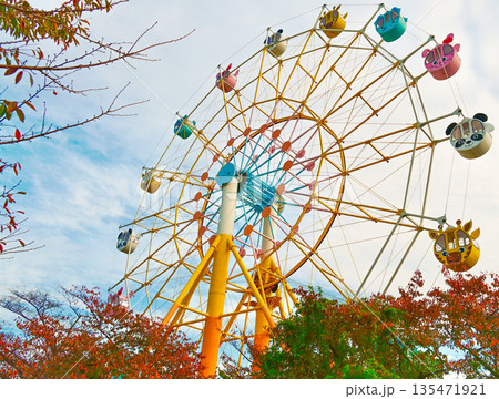 紅葉とカラフルな観覧車 紅葉とカラフルな観覧車 135471921