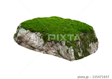 stone covered with moss isolated on white background stone covered with moss isolated on white background 135471937