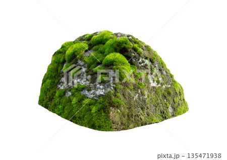 stone covered with moss isolated on white background 135471938
