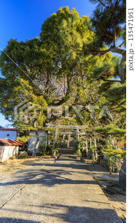 白髭神社の正月 白髭神社の正月 135471951