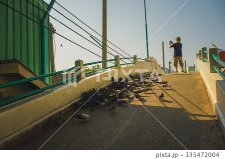 asia travel with people travel and take picture with large buddhist and beautiful temple with river at Bangkok Thailand in summer season asia travel with people travel and take picture with large buddhist and beautiful temple with river at Bangkok Thailand in summer season 135472004