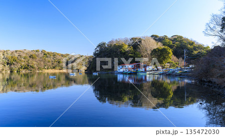 三浦半島の小網代湾 135472030