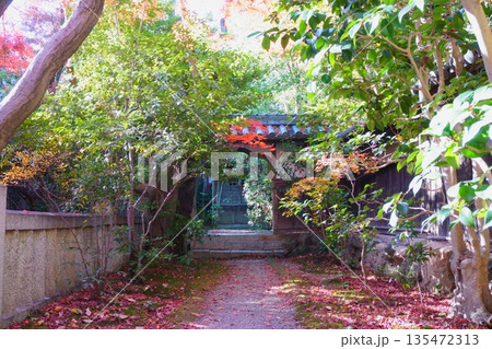 桃厳寺　山門 135472313