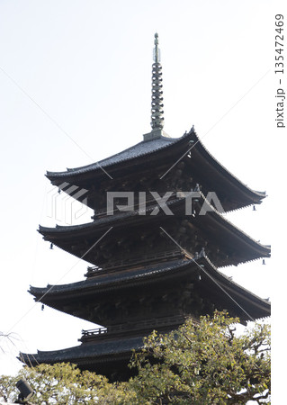 東寺　五重塔　京都 135472469