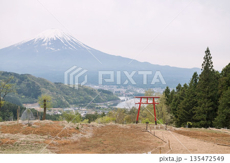 red torii gate of Kawaguchi Asama Shrine with Mt.Fuji view red torii gate of Kawaguchi Asama Shrine with Mt.Fuji view 135472549