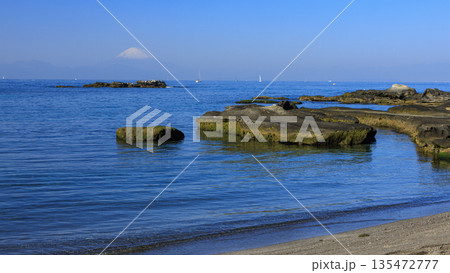 三浦半島の油壷の荒井浜 135472777