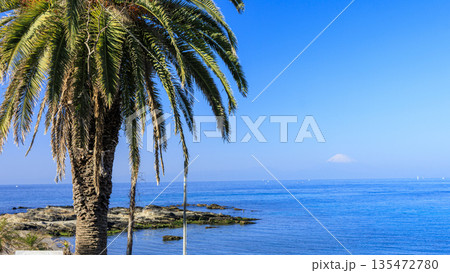 三浦半島の油壷の荒井浜 135472780