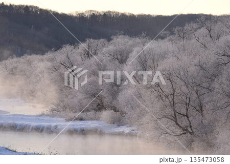厳冬の気嵐 雪裡川 音羽橋から望む 厳冬の気嵐 雪裡川 音羽橋から望む 135473058