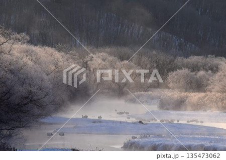 厳冬の気嵐　雪裡川　音羽橋から望む 135473062