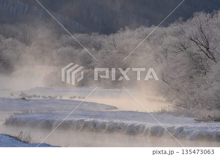 厳冬の気嵐　雪裡川　音羽橋から望む 135473063