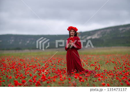 Woman red dress poppy field cloudy sky artistic portrait 135473137