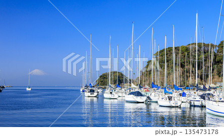 諸磯湾の冬 135473178