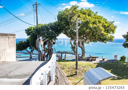 高台から望むガジュマルと美しい海 135473265