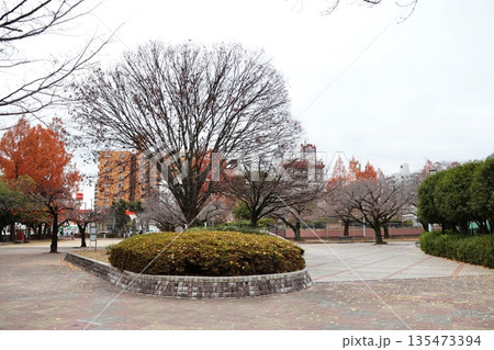 冬枯れの小頭町公園（福岡県久留米市） 135473394
