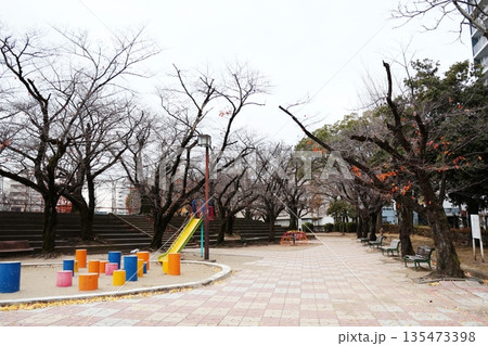 冬枯れの小頭町公園（福岡県久留米市） 135473398