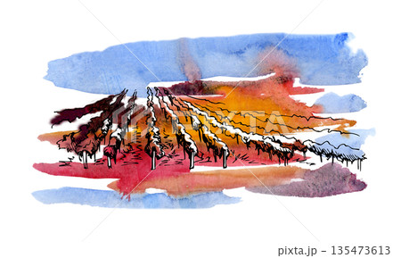 Picturesque rural agricultural land of vineyard, orchard, tree or grapevine rows and sky. Isolated hand painted watercolor and ink illustration for food, wine brand, eco-friendly labels, travel tours Picturesque rural agricultural land of vineyard, orchard, tree or grapevine rows and sky. Isolated hand painted watercolor and ink illustration for food, wine brand, eco-friendly labels, travel tours 135473613