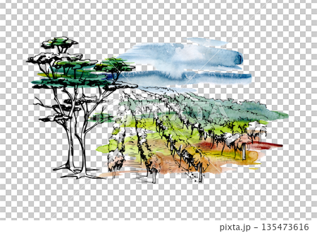 Watercolor and ink vineyard scene with grapevines rows, cloudy sky, closeup of cedar or umbrella pine trees. Isolated illustration for wine branding, labels, culinary Mediterranean lifestyle themes. Watercolor and ink vineyard scene with grapevines rows, cloudy sky, closeup of cedar or umbrella pine trees. Isolated illustration for wine branding, labels, culinary Mediterranean lifestyle themes. 135473616