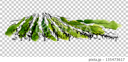 Countryside, vineyard field view, rows of crops across farmland. Landscape illustration hand drawn in ink and watercolor for artisanal packaging, farmers market products and rustic lifestyle visuals. 135473617