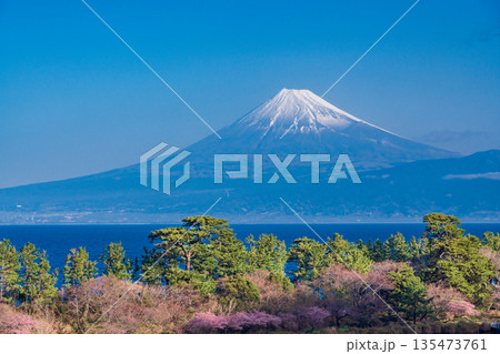 (静岡県)西伊豆井田から海越しに、新雪をまとった富士山 (静岡県)西伊豆井田から海越しに、新雪をまとった富士山 135473761