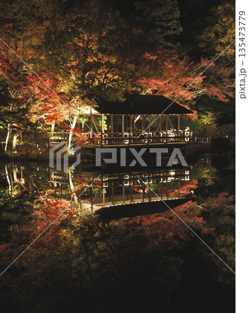 東山動植物園の紅葉（奥池） 135473779