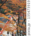 香嵐渓（待月橋） 135473919