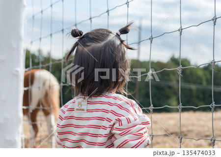 【放牧された馬と二歳児】 135474033