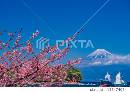 (静岡県)河津桜咲く西伊豆戸田港から海越しに、新雪をまとった富士山 (静岡県)河津桜咲く西伊豆戸田港から海越しに、新雪をまとった富士山 135474054