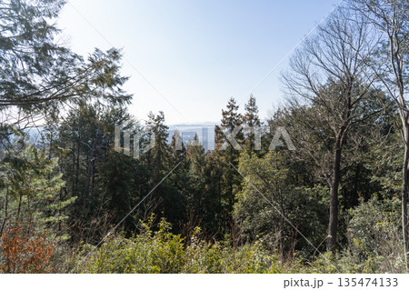 柏木山の富士見の丘から見た景色（奥武蔵） 135474133