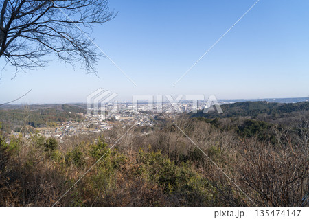 龍崖山（大河原城跡）の山頂から見た景色（奥武蔵） 135474147