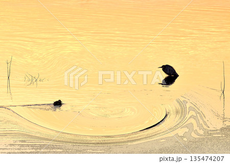 水鳥の戯れる霞ケ浦の初日の出 135474207